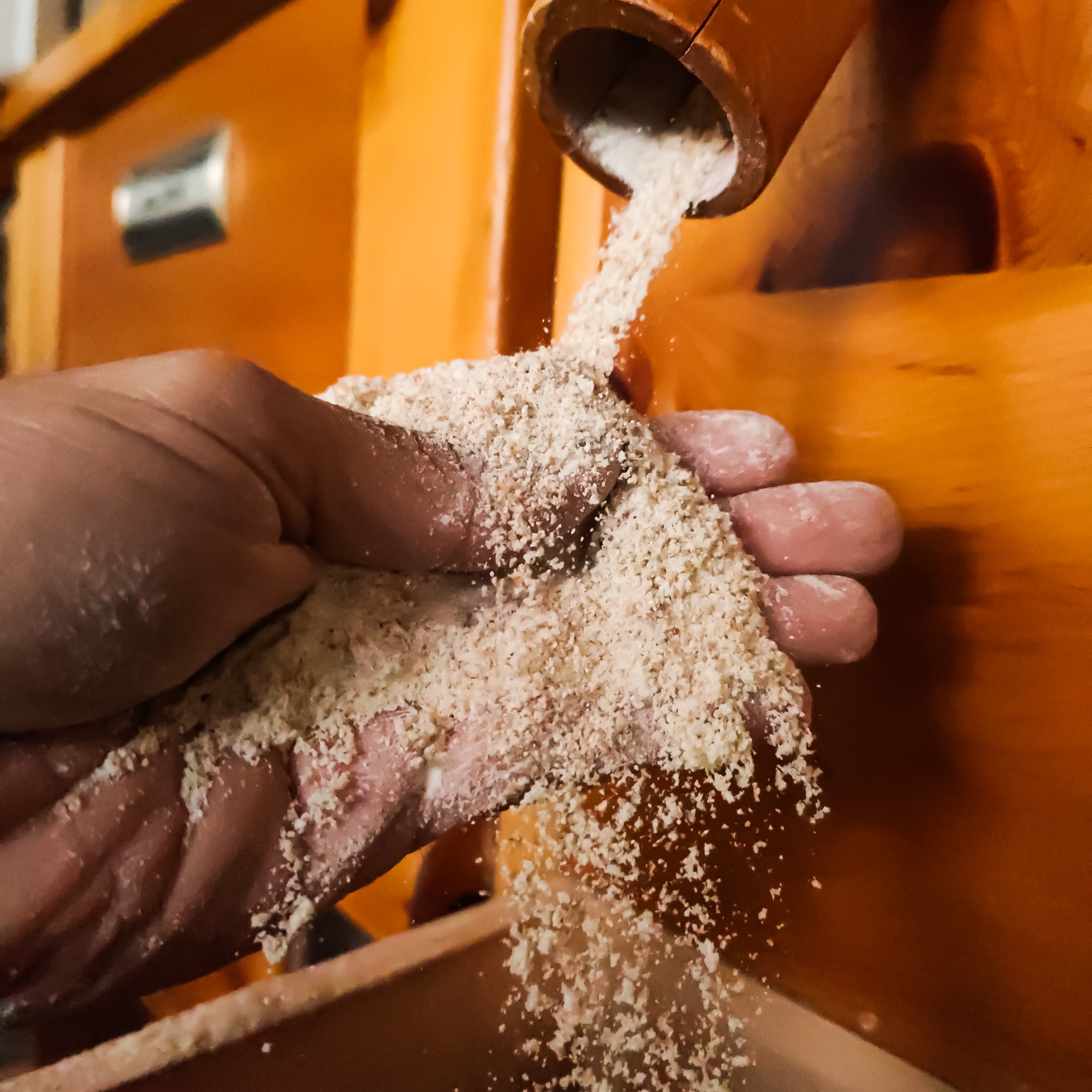 Reconversion pizzaiolo, main dans la farine artisanale